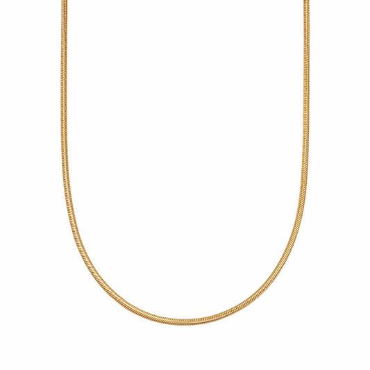 Round Snake Chain Necklace in Gold Stainless Steel